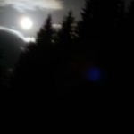 15 Meter über dem Boden (3. Tag)